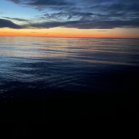 Meet your Posher, Aaliyah - Picture 1 of 1